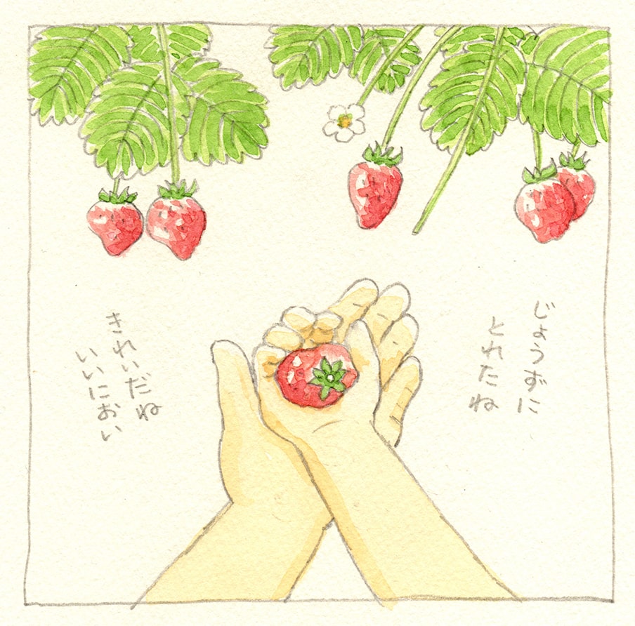 第5話 2コマまんが「にこりさんのいちご狩り」